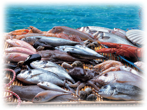 Pesce e prodotti ittici