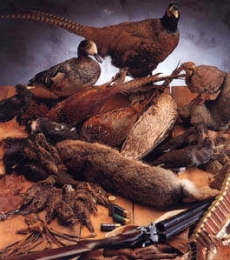 carne di cinghiale carne di cacciagione surgelata